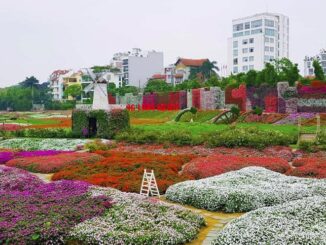 Hà Nội: Thung lũng hoa Hồ Tây được đấu giá cho thuê đất hơn 734 triệu đồng/năm