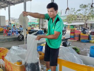 Ngư dân Cà Mau hân hoan với chuyến biển đầu năm bội thu