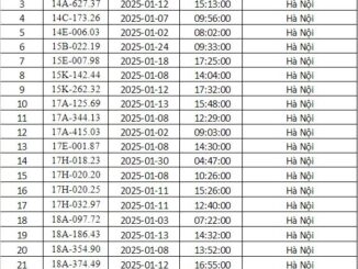 CSGT Hà Nội công bố danh sách phạt nguội tháng 1/2025: 288 chủ xe có biển số sau mau mau đến làm việc kẻo ‘lãi chồng phạt, lương không đủ nộp’