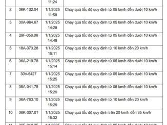 310 chủ xe có biển số sau mau chóng nộp ph:.ạt nguội
