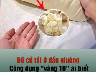 Để củ tỏi ở đầu giường, công dụng “vàng 10”, ai đọc xong cũng muốn làm thử