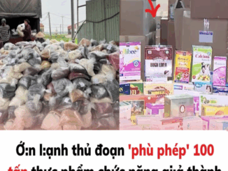 Thủ đoạn ‘phù phép’ 100 tấn thực phẩm chức năng giả thành ‘hàng Nhật’, ‘hàng Mỹ’