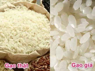 10 thực phẩm Trung Quốc được làm giả nhiều nhất, Việt Nam mình tiêu thụ đến 9 loại