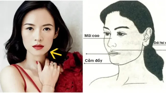 5 quý tướng trên mặt chứng tỏ phụ nữ đẹp nết đẹp người, có hậu vận tốt 5 quý tướng trên mặt chứng tỏ phụ nữ đẹp nết đẹp người, có hậu vận tốt