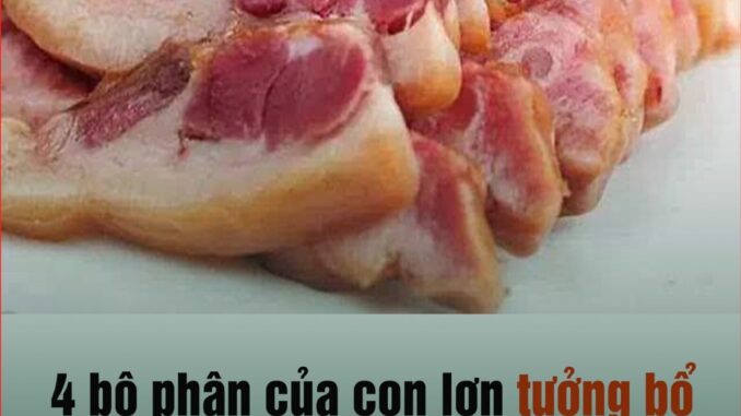 4 bộ phận của con lợn tưởng bổ nhưng cực bẩn, BS nói: Muốn ngừa bệnh tật thì nên hạn chế ăn vào