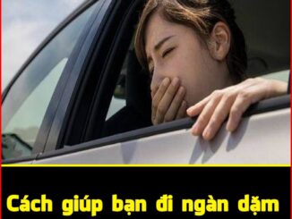 8 cách thoát khỏi say xe tức thì không cần thuốc: Đi xa vẫn khỏe re
