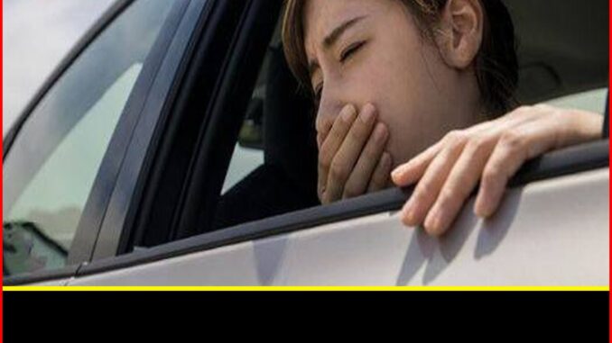 8 cách thoát khỏi say xe tức thì không cần thuốc: Đi xa vẫn khỏe re