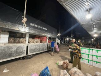 Chia buồn với bà con địa phương: Mua rau củ ngoài chợ mà còn kinhkhung thế này, trời ạ giờ biết ăn gì?