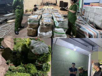 Thu giữ hơn 3 tạ rau quả nhiễm hóa chất độ:c hạ:i