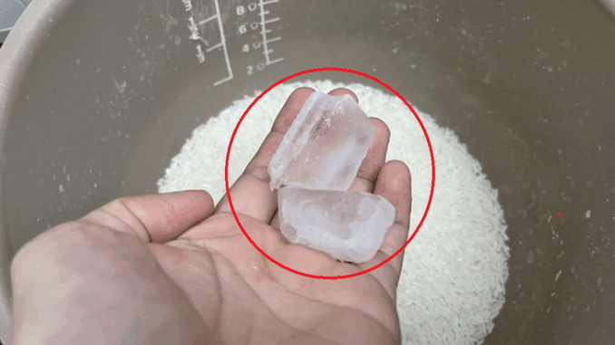 Bỏ 2 viên đá lạnh vào nồi cơm: Thật ngạc nhiên về kết quả khi cơm chín Bỏ 2 viên đá lạnh vào nồi cơm: Thật ngạc nhiên về kết quả khi cơm chín
