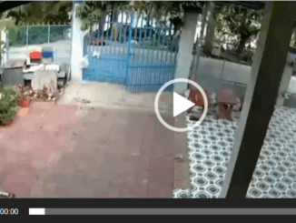 Khi đang cùng chồng gom lục bình phơi phía trước nhà