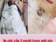 Ve chó cắn 3 người trong một gia đình, 2 người qua đời: Không vệ sinh được thì đừng nuôi, đầy bệnh