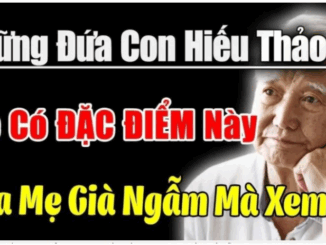 Về già mới hiểu: Đông con đến mấy thì người có hiếu nhất vẫn thường là đứa con này