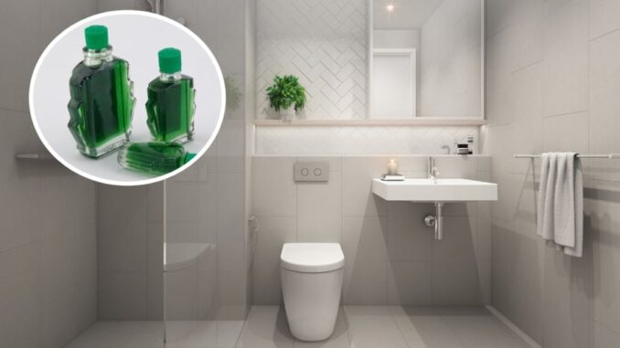 Vì sao trong nhà vệ sinh nên có một lọ dầu gió? Lợi ích đặc biệt, ai cũng cần biết Vì sao trong nhà vệ sinh nên có một lọ dầu gió? Lợi ích đặc biệt, ai cũng cần biết