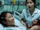Người vợ sinh con trai da đen, bị chồng bỏ rơi… và 20 năm sau, điều không tưởng xảy ra…