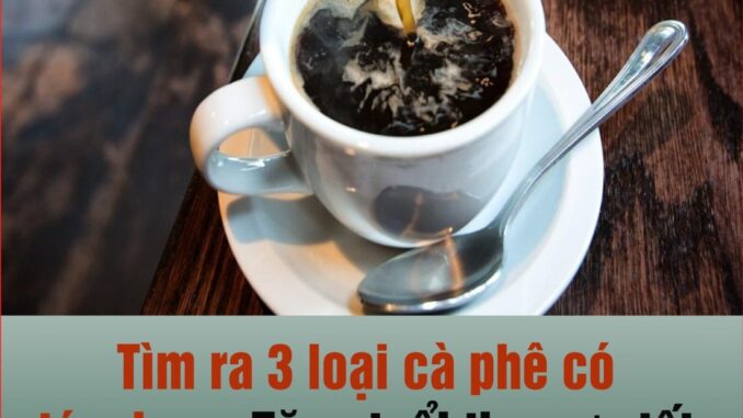Tìm ra 3 loại cà phê có tác dụng tăng tuổi thọ cực tốt, phòng ngừa cả bệnh tim và đột quỵ Tìm ra 3 loại cà phê có tác dụng tăng tuổi thọ cực tốt, phòng ngừa cả bệnh tim và đột quỵ