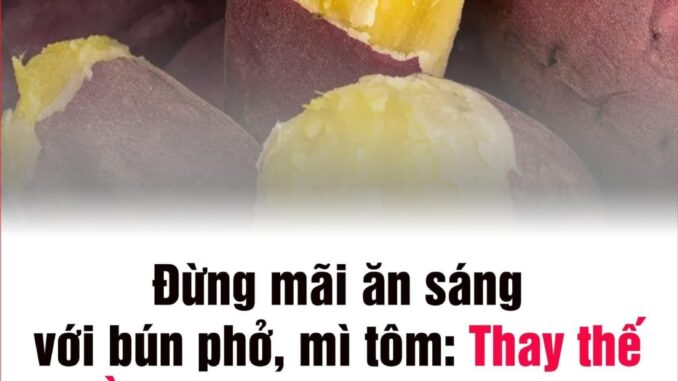 Đừng mãi ăn sáng với bún phở, mì tôm: Hãy thay thế bằng 7 món пày, vừa ngon lại kéo dài tuổi thọ Đừng mãi ăn sáng với bún phở, mì tôm: Hãy thay thế bằng 7 món пày, vừa ngon lại kéo dài tuổi thọ