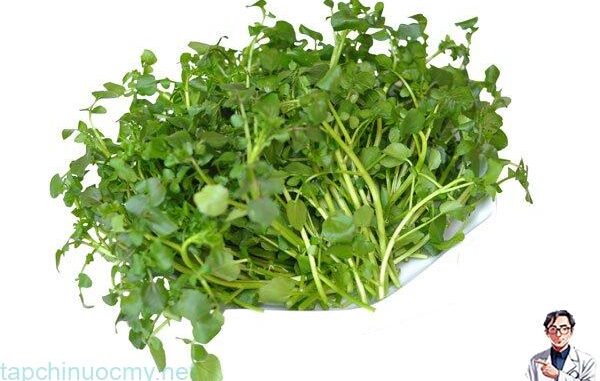 Cả thế giới mở tiệc ăn mừng vì mới phát hiện ra loại rau có khả năng chống un g th ư gấp trăm lần thuốc đặc trị , Ở Việt Nam mọc đầy ra Cả thế giới mở tiệc ăn mừng vì mới phát hiện ra loại rau có khả năng chống un g th ư gấp trăm lần thuốc đặc trị , Ở Việt Nam mọc đầy ra