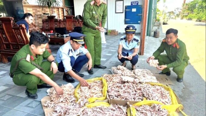 Phát hiện gần 500kg chân gà, đuôi lợn ‘bẩn’ trong kho công ty thực phẩm sạch Phát hiện gần 500kg chân gà, đuôi lợn ‘bẩn’ trong kho công ty thực phẩm sạch