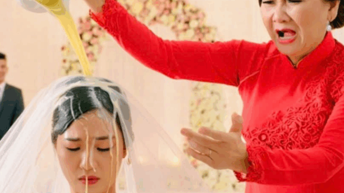 Con Dâu Bị Làm Nhục Ngay Giữa Đám Cưới – Cô Làm Điều Khiến Cả Gia Đình Quỳ Xuống Con Dâu Bị Làm Nhục Ngay Giữa Đám Cưới – Cô Làm Điều Khiến Cả Gia Đình Quỳ Xuống