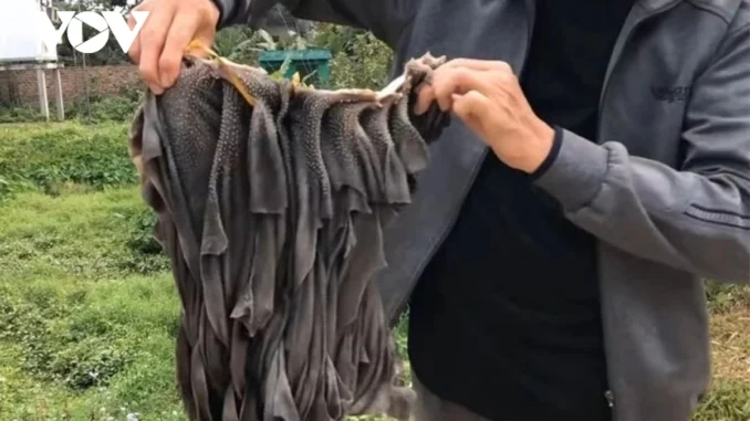 Ăn sách bò thường xuyên có tốt? Ăn sách bò thường xuyên có tốt?