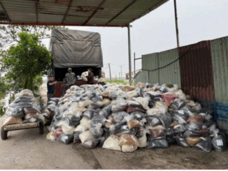 B ắ t nhiều giám đốc –