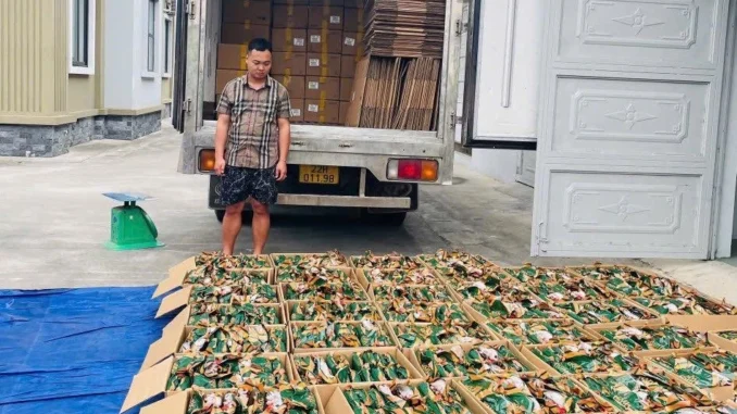 Tuyên Quang thu giữ hơn 5,3 tấn chân gà 'bẩn’ sắp tuồn ra thị trường Tuyên Quang thu giữ hơn 5,3 tấn chân gà 'bẩn’ sắp tuồn ra thị trường