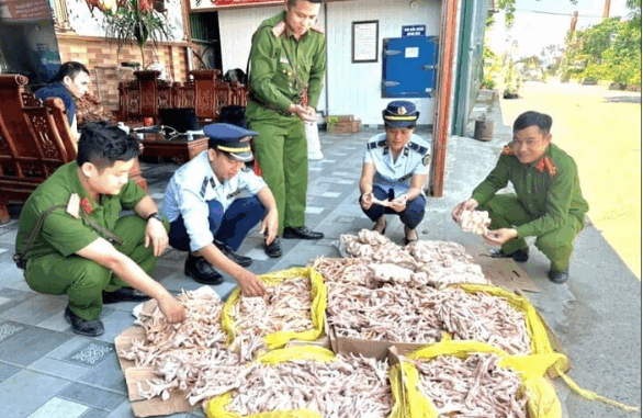 Phát hiện gần 500kg chân gà, đuôi lợn ‘b:ẩn’ trong kho công ty thực phẩm sạch Phát hiện gần 500kg chân gà, đuôi lợn ‘b:ẩn’ trong kho công ty thực phẩm sạch