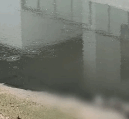 sông Tô Lịch sông Tô Lịch