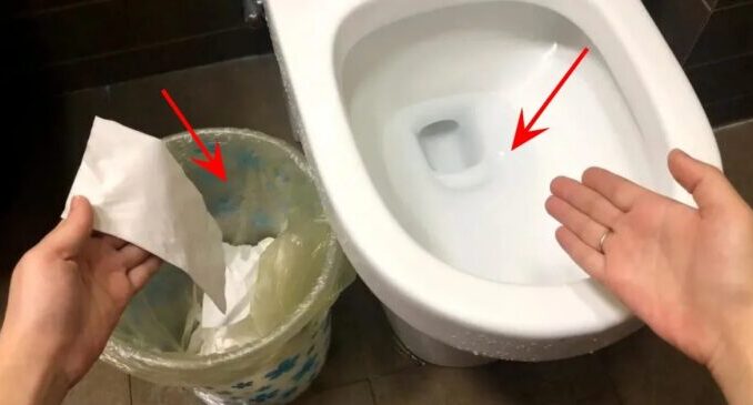 Nên vứt giấy vệ sinh vào thùng rác hay bồn cầu? Việc đơn giản nhưng không phải ai cũng thực hiện đúng Nên vứt giấy vệ sinh vào thùng rác hay bồn cầu? Việc đơn giản nhưng không phải ai cũng thực hiện đúng