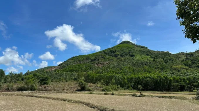 Quảng Ngãi sẵn sàng đón nguyên Chủ tịch nước Trần Đức Lương về với đất mẹ Quảng Ngãi sẵn sàng đón nguyên Chủ tịch nước Trần Đức Lương về với đất mẹ