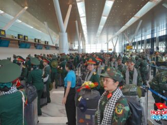 Cảnh tượng hiếm có ở sân bay Tân Sơn Nhất: Một màu xanh đồng loạt khiến ai cũng ngoái nhìn!