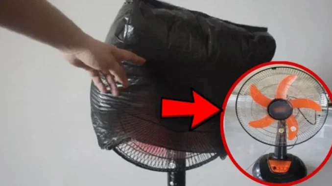 3 cách làm sạch quạt không cần tháo khung, không cần nước: Bụi bẩn mấy cũng sạch bong 3 cách làm sạch quạt không cần tháo khung, không cần nước: Bụi bẩn mấy cũng sạch bong