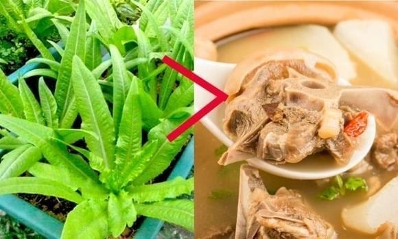 Loại rau ‘siêu canxi’ gấp 36 lần xương hầm, ăn mỗi ngày đỡ tốn tiền uống thuốc bổ Loại rau ‘siêu canxi’ gấp 36 lần xương hầm, ăn mỗi ngày đỡ tốn tiền uống thuốc bổ