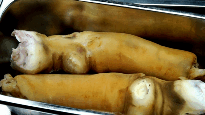 Vó bò là gì? 100 gram vó bò chứa bao nhiêu calo? Gợi ý các món ngon chế biến từ vó bò Vó bò là gì? 100 gram vó bò chứa bao nhiêu calo? Gợi ý các món ngon chế biến từ vó bò