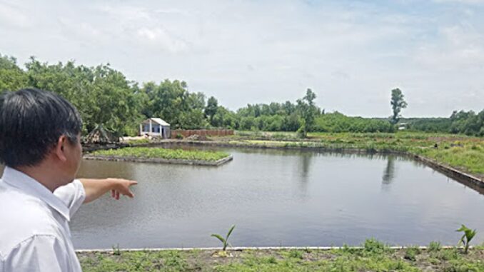 Trình tự, thủ tục chuyển đổi từ đất ao sang đất làm nhà Trình tự, thủ tục chuyển đổi từ đất ao sang đất làm nhà