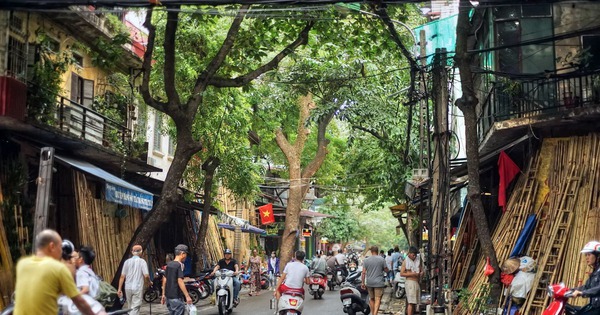 Một công ty bị thu hồi 2 cơ sở nhà, đất nằm trên khu đất “vàng” phố cổ Hà Nội Một công ty bị thu hồi 2 cơ sở nhà, đất nằm trên khu đất “vàng” phố cổ Hà Nội