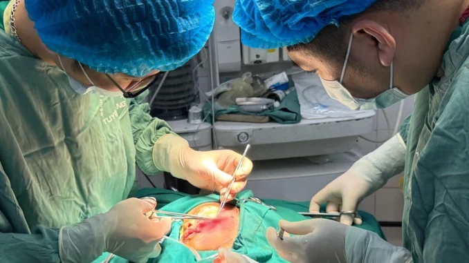 Bé 24 tháng tuổi phải mổ cấp cứu trong đêm vì bị chó nhà tấn công Bé 24 tháng tuổi phải mổ cấp cứu trong đêm vì bị chó nhà tấn công