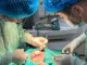 Bé 24 tháng tuổi phải mổ cấp cứu trong đêm vì bị chó nhà tấn công