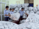 Phát hiện kho chứa 40.000 gói rong biển trôi nổi chuẩn bị tuồn ra thị trường