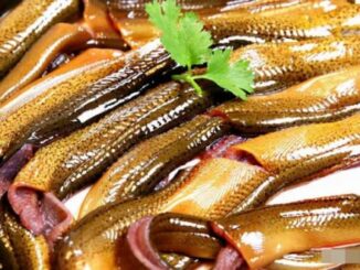 5 loại thực phẩm đặc biệt có nhiều ký sinh trùng, nhiều người hầu như ăn hàng ngày
