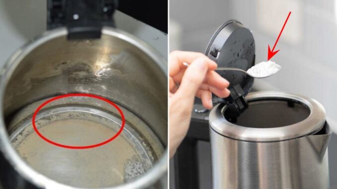 Ấm đun nước bám đầy cặn bẩn, cho thứ này vào đun sôi là ấm sạch bong, sáng bóng Ấm đun nước bám đầy cặn bẩn, cho thứ này vào đun sôi là ấm sạch bong, sáng bóng