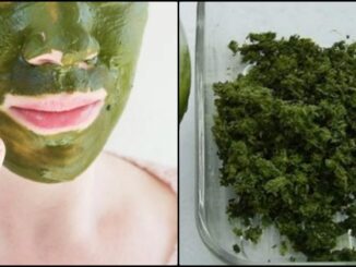 Giã nhuyễn nắm lá lốt làm mặt nạ: da khô cằn thâm nám cũng trắng mịn mơn mởn như da em bé.