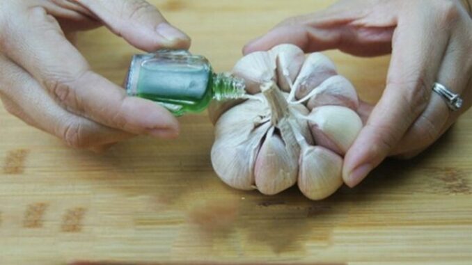 Nhỏ dầu gió vào tỏi: Treo vào cửa sổ, góc nhà có công dụng tuyệt vời Nhỏ dầu gió vào tỏi: Treo vào cửa sổ, góc nhà có công dụng tuyệt vời