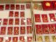 Giá vàng SJC tiếp tục tăng