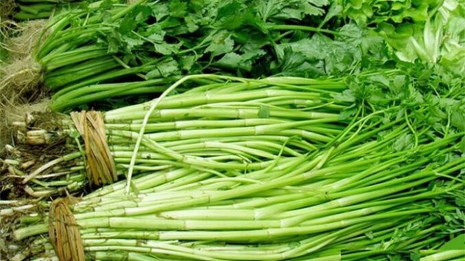 8 loại rau “ngậm” hoá chất, lại còn chứa ổ ký sinh trùng nhiều người không biết: Người Việt rất hay ăn 8 loại rau “ngậm” hoá chất, lại còn chứa ổ ký sinh trùng nhiều người không biết: Người Việt rất hay ăn