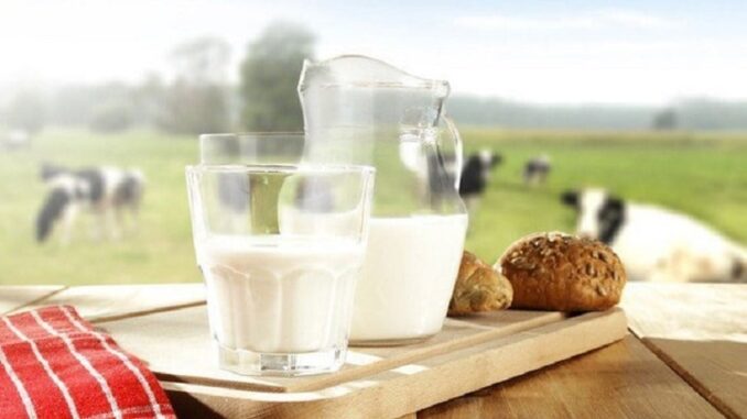 Sữa tươi hết hạn là “kho báu”, đổ đi quá phí: 2 công dụng hữu ích ai cũng thích Sữa tươi hết hạn là “kho báu”, đổ đi quá phí: 2 công dụng hữu ích ai cũng thích