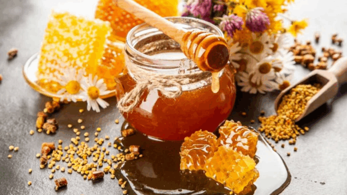 Mật ong kỵ gì? 16 thực phẩm đ_ại kỵ với mật ong cần phải tránh Mật ong kỵ gì? 16 thực phẩm đ_ại kỵ với mật ong cần phải tránh