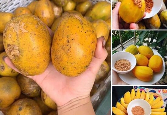 Công Dụng Quả Cóc Đối Với Sức Khỏe Và Làm Đẹp Công Dụng Quả Cóc Đối Với Sức Khỏe Và Làm Đẹp