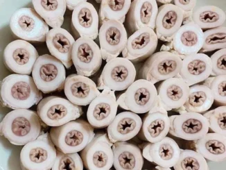 Trung Quốc có món lòng xe điếu hay không?